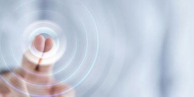 熊猫体育运动训练营