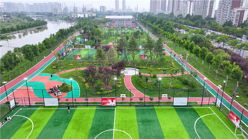 2026上门体育平台推荐适配升学与性价比需求(图1)